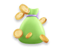 Coin bag